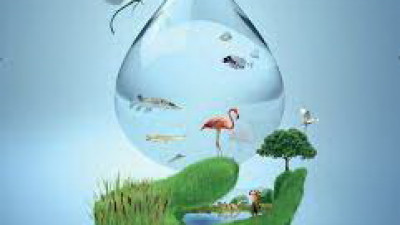 2 лютого – Всесвітній день водно-болотних угідь
